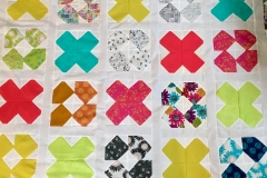 Rational_Design_Fiber-30