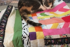 Rational_Design_Fiber-51